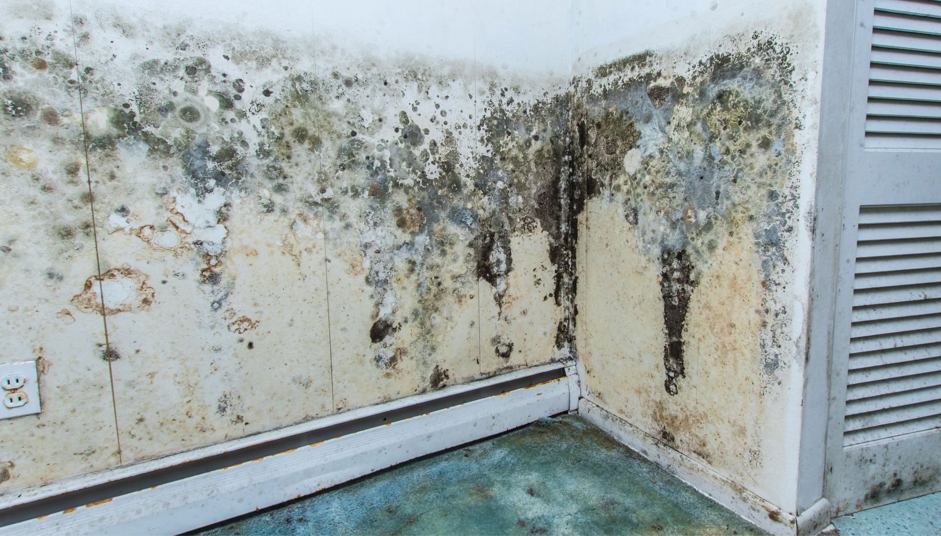 Mold-Damager-Odor-Control in Orange County